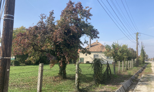 PREDAJ POZEMOK 2100m2 RAJKA.