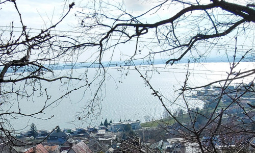 Na predaj pozemok na Zemplínskej Šírave .