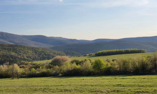 Na predaj stavebný pozemok v  obci Telkibánya.