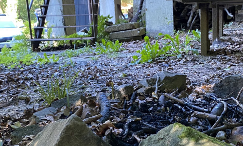 Na predaj - CHATA - Domaša Eva