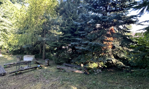 ZNÍŽENÁ CENA! Na predaj pozemok s chatkou v Trstíne časť Rasuchov