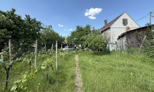 Na predaj starší vidiecky dom s 8 árovým pozemkom v Grinave