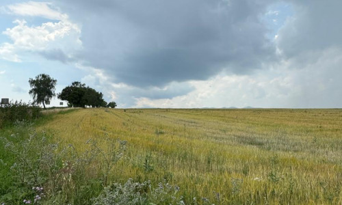 Investičný pozemok Veľký Slavkov,8456m2