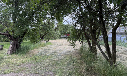 Pozemok na výstavbu, Košice - Okolie, Seňa, všetky IS