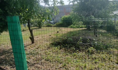 Lukratívna záhrada na predaj