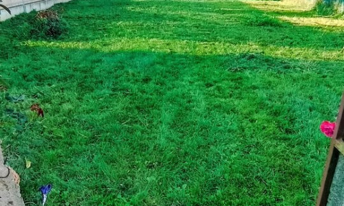 Na predaj pozemok vhodný na výstavbu RD  v Trnave -Medziháj