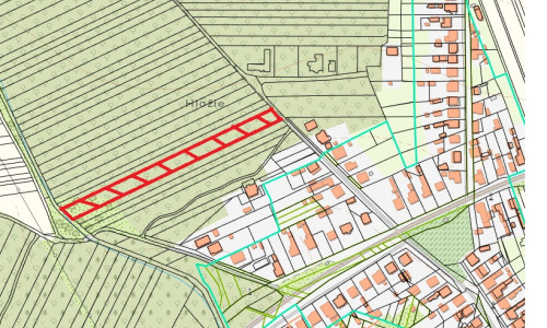 Lesný pozemok v obci Dojč