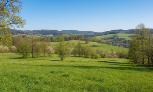 Na predaj rekreačný pozemok v Novej Bani