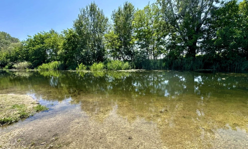 PREDAJ pozemok s rozlohou 2504 m² priamo pri vode.