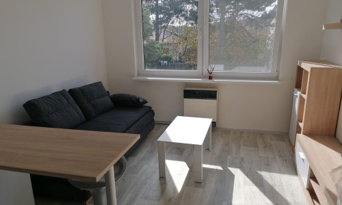 Prenájom garsónky s pivnicou v obci Trstín