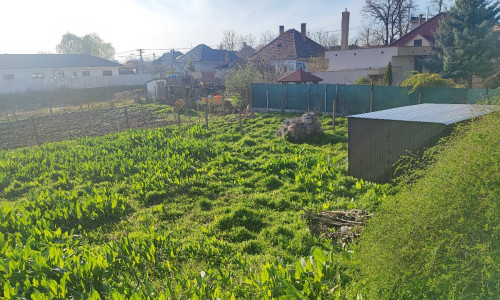 Na predaj pozemok vhodný na výstavbu RD v obci Tomášikovo