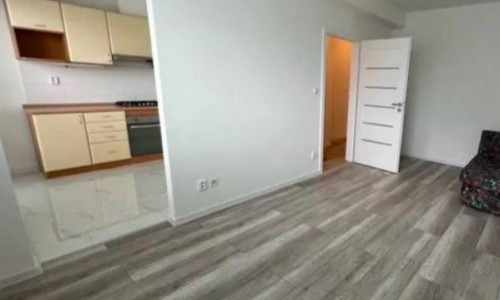 NA PREDAJ, zrekonštruovaný, 1-izbový byt, BA II