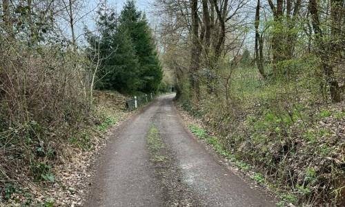 Na predaj chatka s pozemkom Trstín - Rosuchov