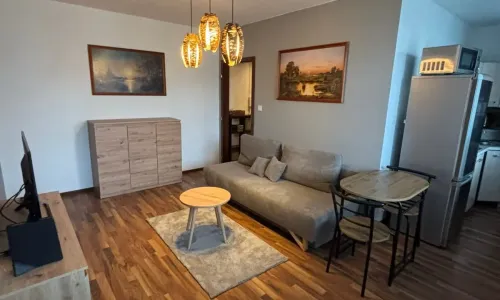 1-izbový byt s balkónom na prenájom pri Lekárskej fakulte