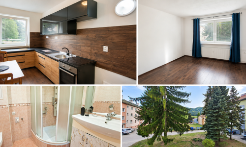 🏡 Prenájom 1-izbového bytu vo Valaskej