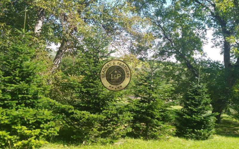 Rodinný dom, predaj, Maďarsko 12 km od hraníc