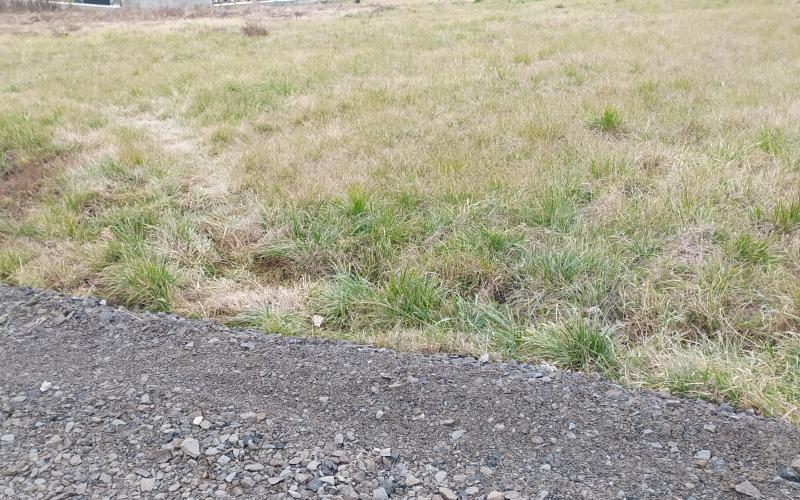 Pozemok - predaj - Prešov Fintice 003