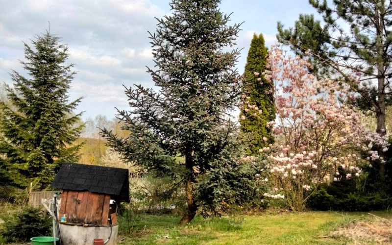 Záhrada, Košické Oľšany – Vyšný Olčvar, 375m2, studňa