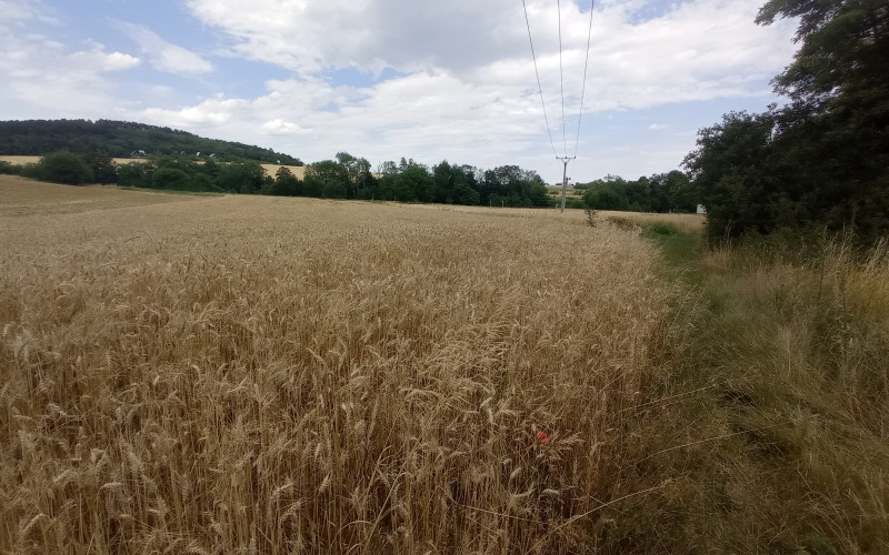 Na predaj krásny slnečný pozemok LUBINA, 3482 m2