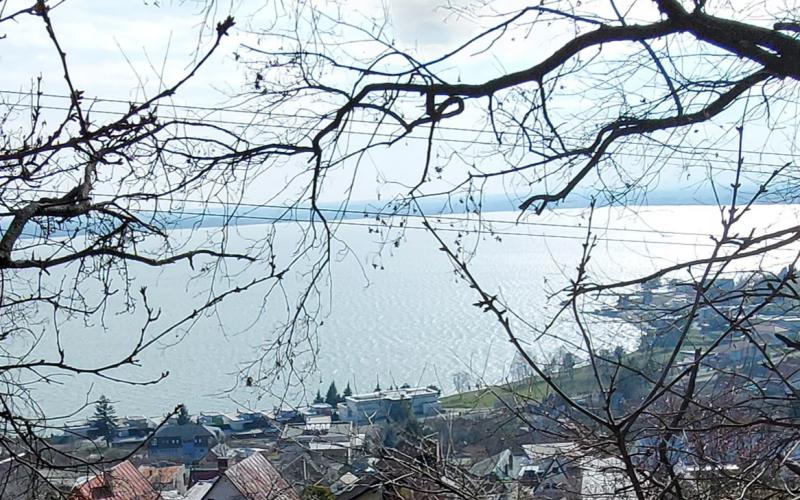 Na predaj pozemok na Zemplínskej Šírave .