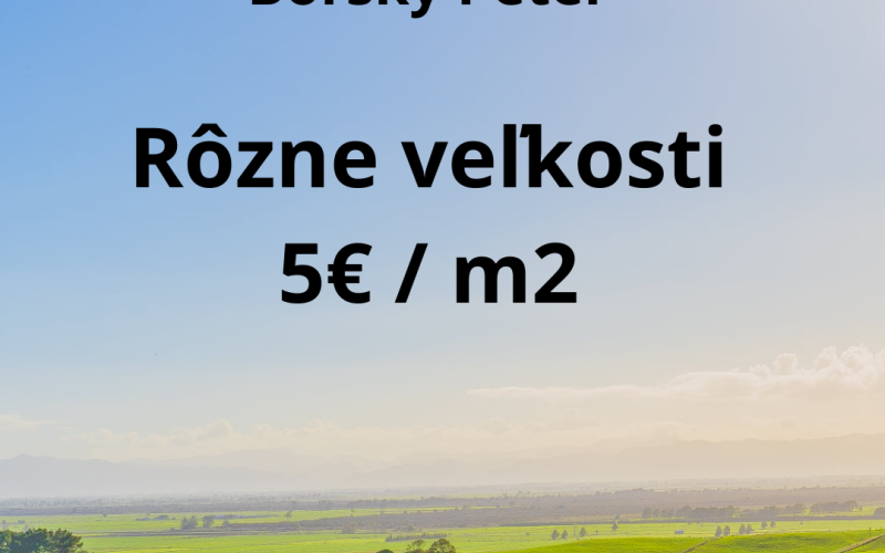 ** Na predaj ** Orná pôda v Borskom Mikuláš
