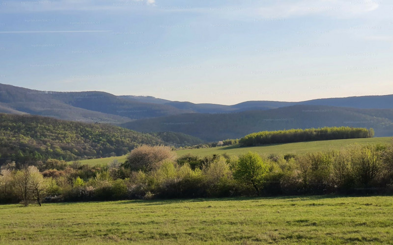 Na predaj stavebný pozemok v  obci Telkibánya.