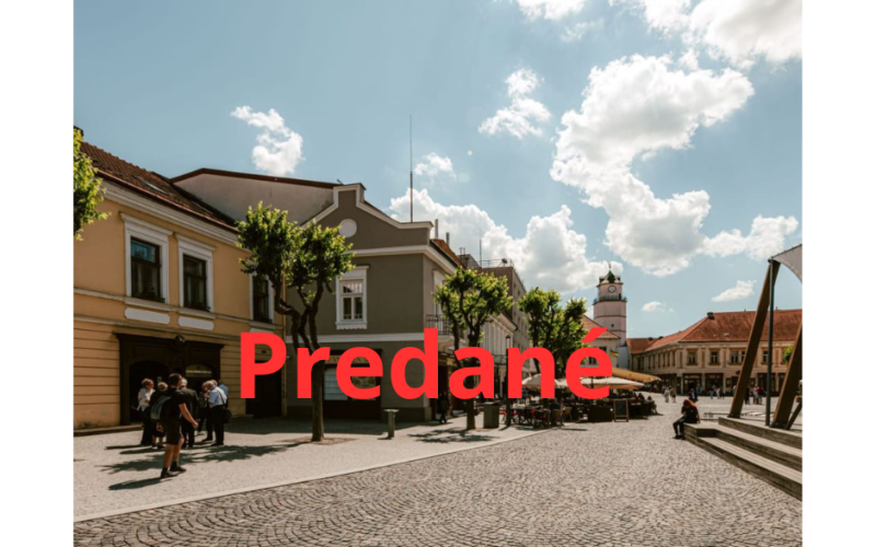 Investičný rodinný dom vhodný na podnikateľské účely v centre Trenčína!!!