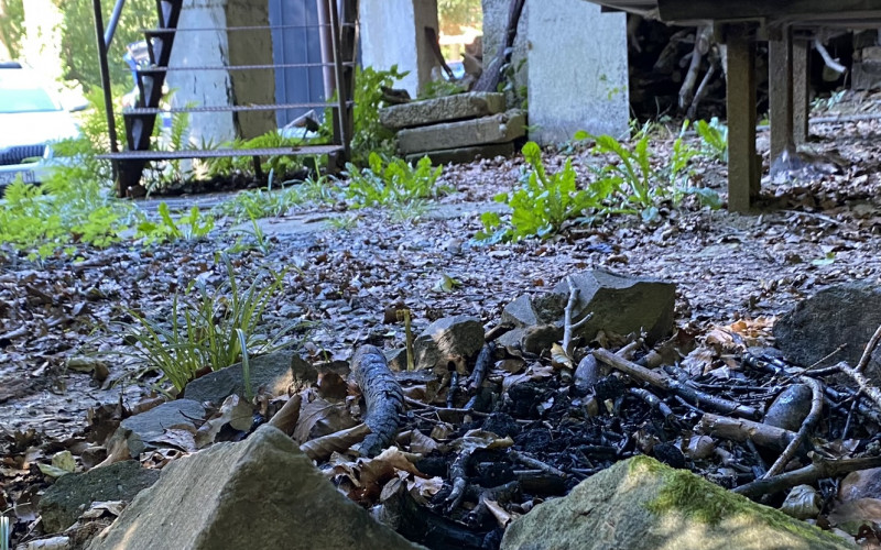 Na predaj - CHATA - Domaša Eva