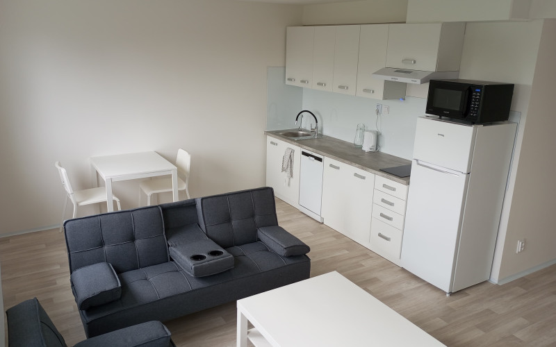 Na prenájom 2- izbový byt v obci Špačince