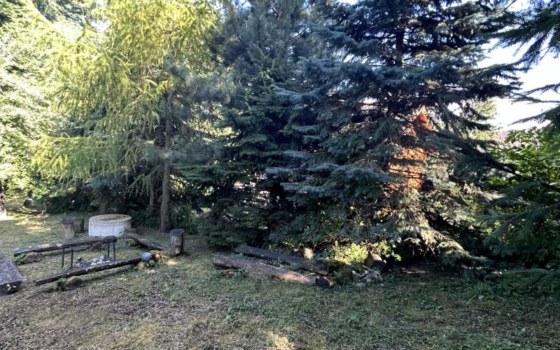 ZNÍŽENÁ CENA! Na predaj pozemok s chatkou v Trstíne časť Rasuchov