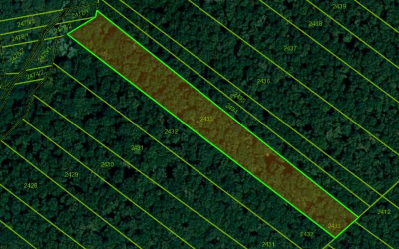 Lesný pozemok k.ú Častkov  okr. Senica