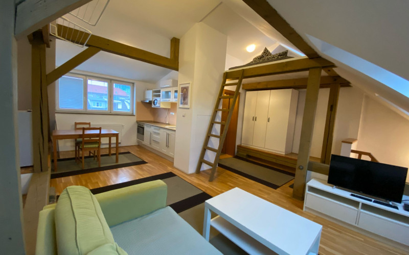 1-izbový podkrovný, originálny byt v rodinnom dome pri VIVO