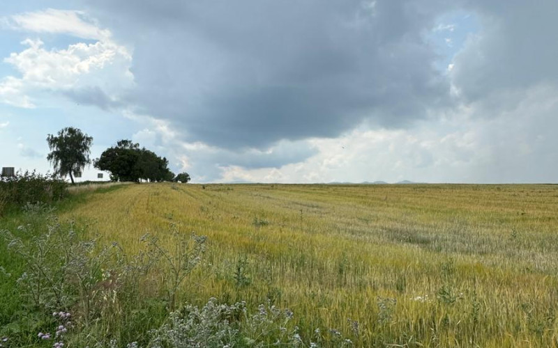 Investičný pozemok Veľký Slavkov,8456m2