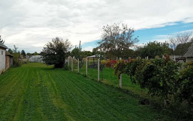 PREDAJ pozemok 6652 m2 Dunasziget