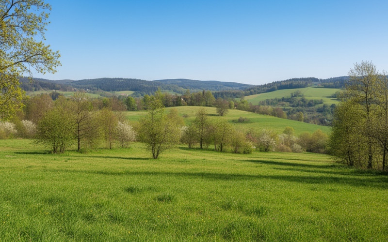 Na predaj rekreačný pozemok v Novej Bani