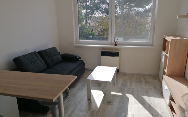 Prenájom garsónky s pivnicou v obci Trstín