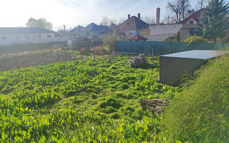 Na predaj pozemok vhodný na výstavbu RD v obci Tomášikovo