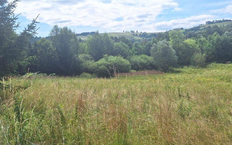 Krásny rovný pozemok v Brezne - Šiašovo