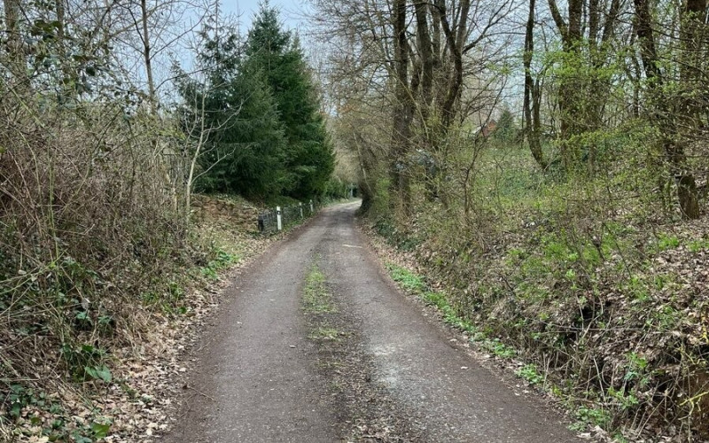 Na predaj chatka s pozemkom Trstín - Rosuchov