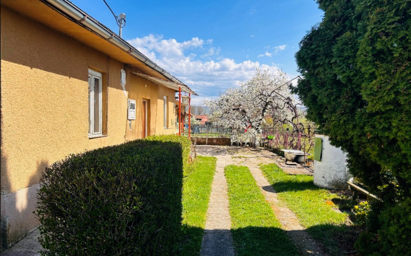 Investičná príležitosť: dom s veľkým pozemkom