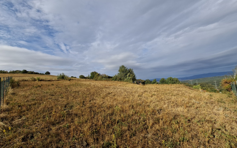 Investičný pozemok 2 699 m², Kavečany-Vitalina