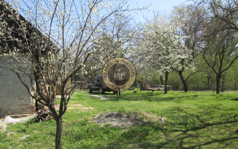 Dom - chalupa na samote pri Malom Dunaji len 7 km od Senca