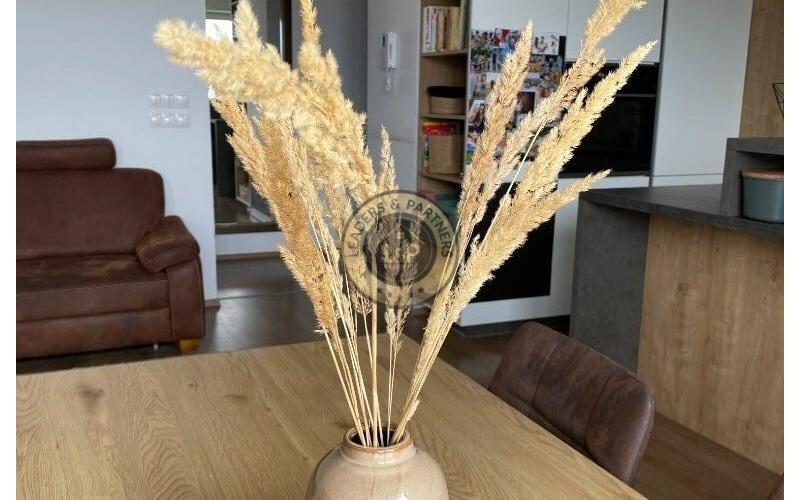 PRENÁJOM 4 IZBOVÝ NADŠTANDARTNÝ BYT NA KRIŽOVATKÁCH