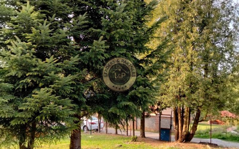 Záhrada, Košické Oľšany – Vyšný Olčvar, 375m2, studňa