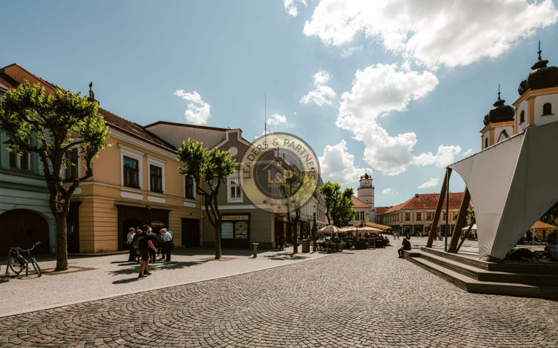 Investičný rodinný dom vhodný na podnikateľské účely v centre Trenčína!!!