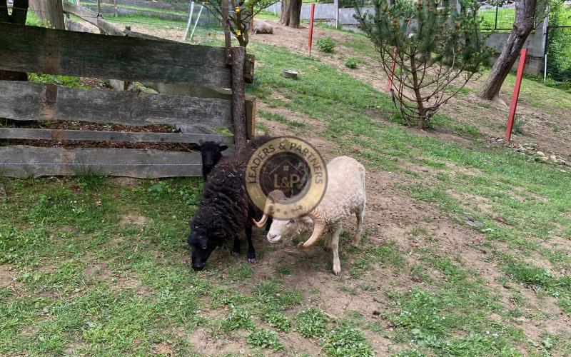 Rezervované  -  Chalupa na Myjavských kopaniciach Podkylava