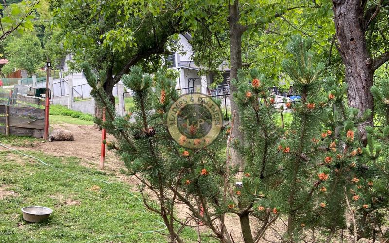 Rezervované  -  Chalupa na Myjavských kopaniciach Podkylava