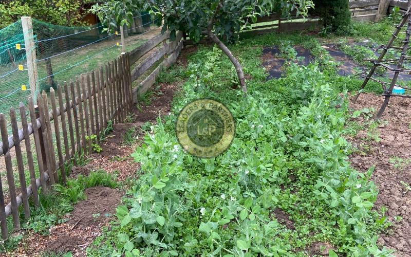 Rezervované  -  Chalupa na Myjavských kopaniciach Podkylava