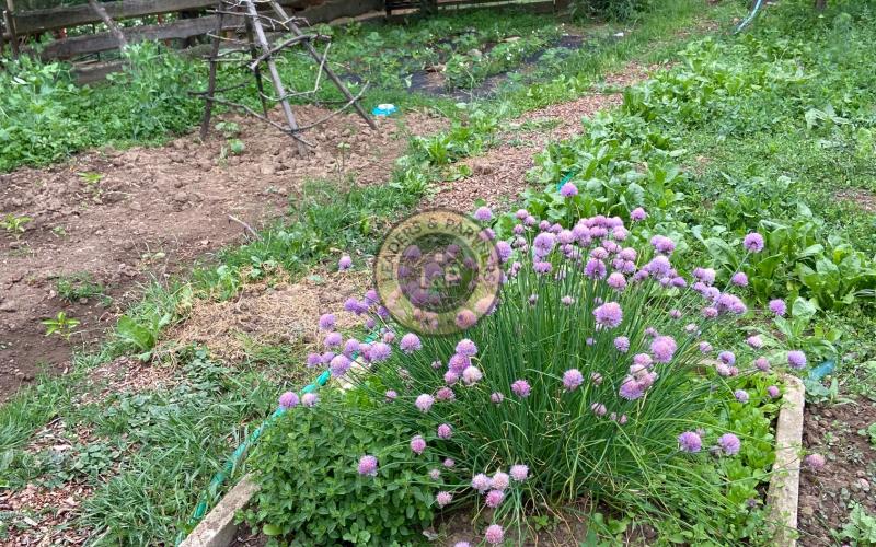 Rezervované  -  Chalupa na Myjavských kopaniciach Podkylava