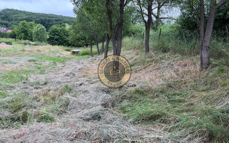 Stavebný pozemok, obec Paňovce, Košice-okolie, 1020 m2